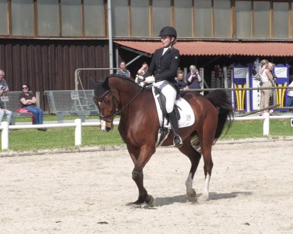 Reitturnier Bietigheim-Bissingen 2022
