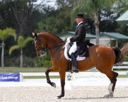 dressage horse Mariett (Danish Warmblood, 1998, from Come Back II)