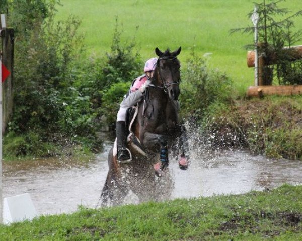 broodmare Simbaguenza (German Riding Pony, 1998, from Asih)