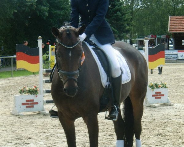 dressage horse Sweet About Me (German Sport Horse, 2006, from Samba Hit I)