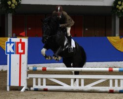 jumper Sioux Son (Pinto / Hunter, 2008, from Sioux)