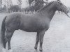 stallion Farman (Holsteiner, 1955, from Fangball)