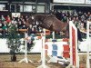 stallion Amigo xx (Thoroughbred, 1989, from Intervall xx)