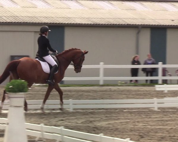 Reitturnier Mildstedt 2022