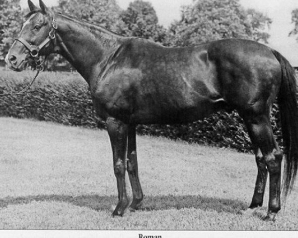 stallion Roman xx (Thoroughbred, 1937, from Sir Gallahad III xx)