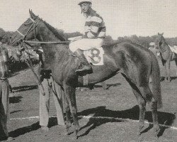 broodmare Pocahontas xx (Thoroughbred, 1955, from Roman xx)