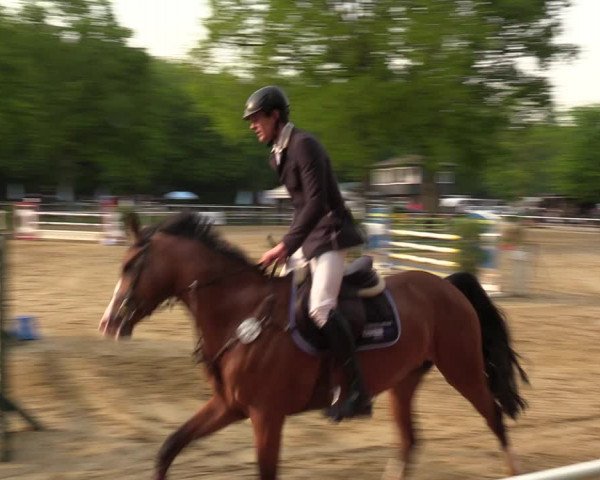 Reitturnier Dinslaken-Hiesfeld 2022