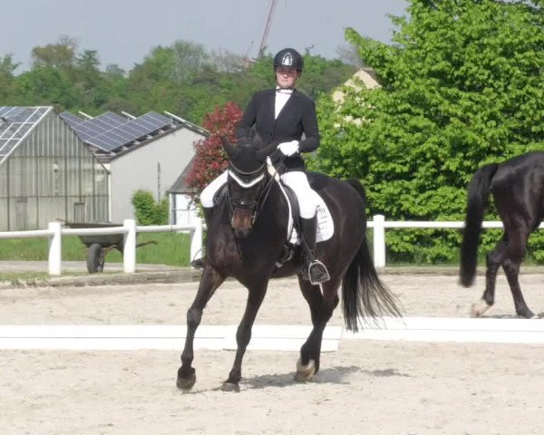 Reitturnier Bietigheim-Bissingen 2022