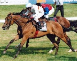 horse Picotee xx (Thoroughbred, 1997, from Local Suitor xx)