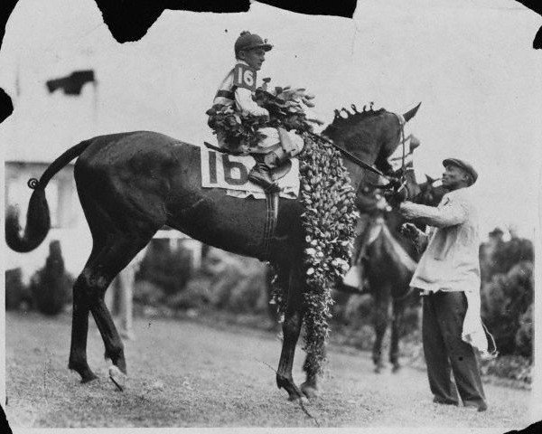 stallion Brokers Tip xx (Thoroughbred, 1930, from Black Toney xx)