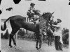 stallion Brokers Tip xx (Thoroughbred, 1930, from Black Toney xx)