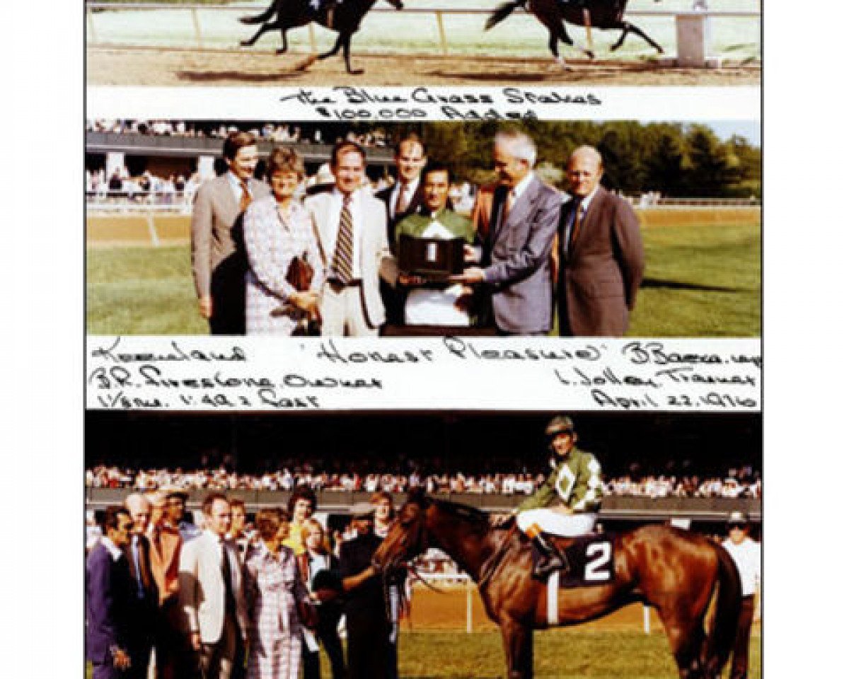 stallion Honest Pleasure xx (Thoroughbred, 1973, from What A Pleasure xx)
