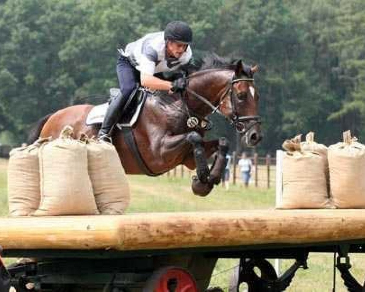 stallion Water Dance xx (Thoroughbred, 1997, from Saddler's Hall xx)