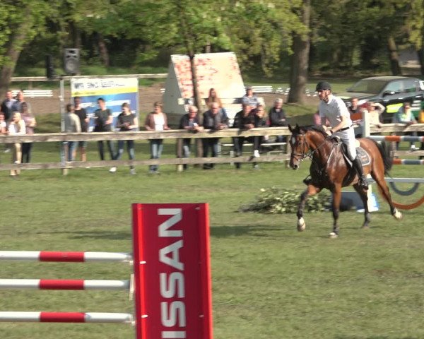Reitturnier Meppen 2022