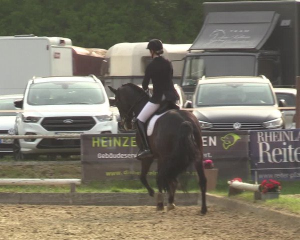 Reitturnier Dinslaken-Hiesfeld 2022