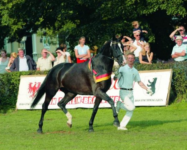 broodmare Donna Romantika (Württemberger, 1993, from Donnerhall)