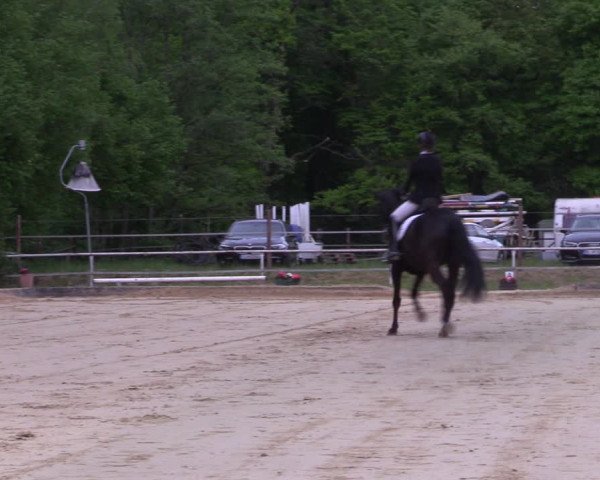 Reitturnier Dinslaken-Hiesfeld 2022