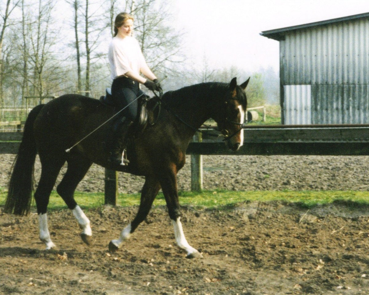 horse Regana (Westphalian, 1996, from Regenbogen)