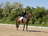 dressage horse Pinot Grigio 26 (Trakehner, 1999, from Liebestraum)