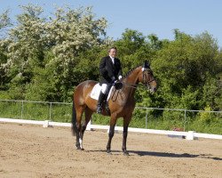 dressage horse Pinot Grigio 26 (Trakehner, 1999, from Liebestraum)