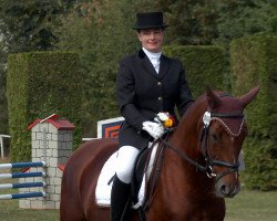 dressage horse Continental 6 (Oldenburg, 2001, from Chopard)