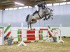 jumper Can Fly Berlin (Oldenburg show jumper, 2009, from Berlin)