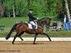 dressage horse Ruby Lady 2 (Oldenburg, 2003, from Rohdiamant)