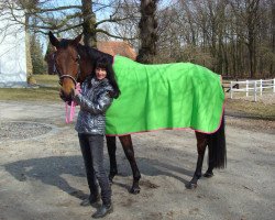 dressage horse Soleil d'Amour S (Hanoverian, 2009, from San Amour I)