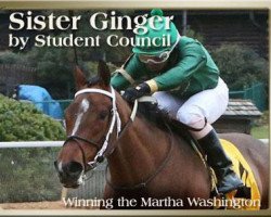 horse Sister Ginger xx (Thoroughbred, 2010, from Student Council xx)