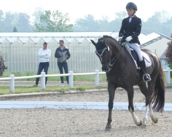 Reitturnier Bietigheim-Bissingen 2022