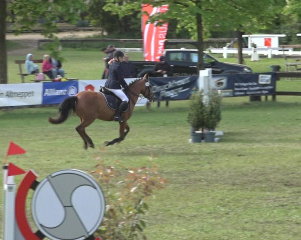 Reitturnier Meppen 2022