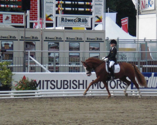dressage horse Not For Sale (German Riding Pony, 2004, from Navoy)