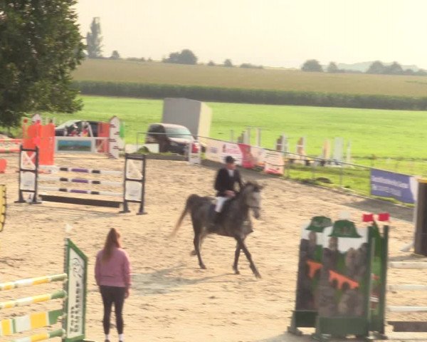 Springreitturnier Hohburg 2021