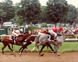 stallion Runaway Groom xx (Thoroughbred, 1979, from Blushing Groom xx)