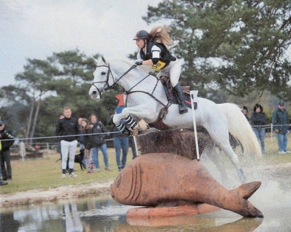 broodmare Malika Vergoignan AA (Anglo-Arabs, 2000, from Quatar de Plape AA)