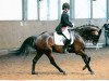 dressage horse Cam' Ron MW R (Westphalian, 2003, from Charming 8)