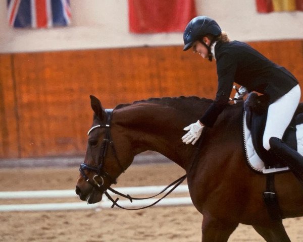 dressage horse Welser's Fillie-Finesse (Hanoverian, 2003, from Welser)