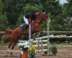 broodmare Gloéy (German Riding Pony, 2006, from Top Grissue)