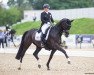 dressage horse Superb 2 (Hanoverian, 2012, from Surprice)