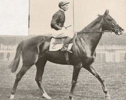 stallion Djeddah xx (Thoroughbred, 1945, from Djebel xx)