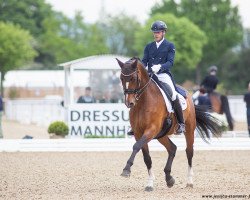 dressage horse James Bond 2 (Bavarian, 2010, from Glock's Johnson Tn)