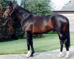 Deckhengst Oscar xx (Englisches Vollblut, 1994, von Sadler's Wells xx)