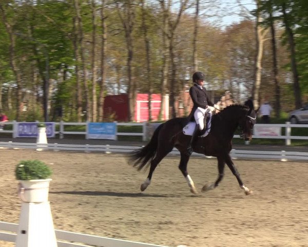 Reitturnier Mildstedt 2022