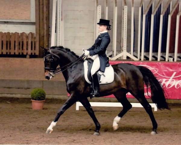 dressage horse Flamenco Girl 2 (Westphalian, 2002, from Fidermark)