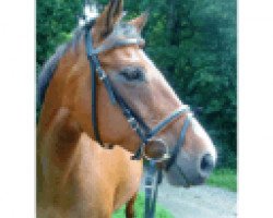 broodmare Une Lorence xx (Thoroughbred, 1997, from Bündheimer xx)