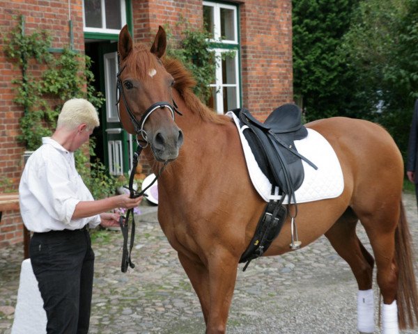 Pferd Whoopie (Hannoveraner, 1987, von Wittelsbach)