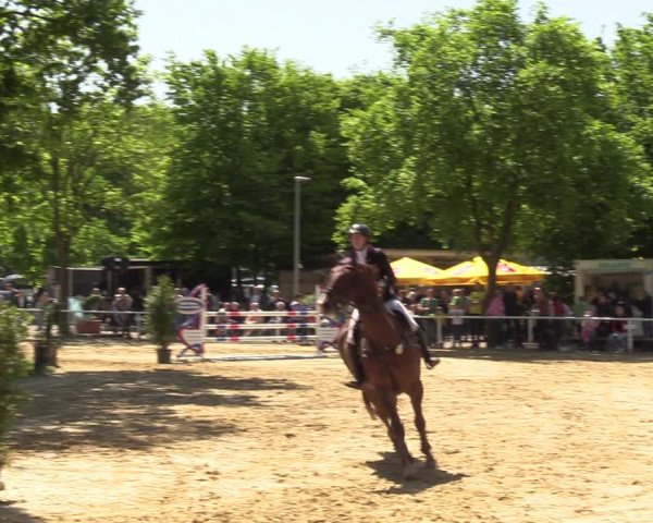Reitturnier Dinslaken-Hiesfeld 2022