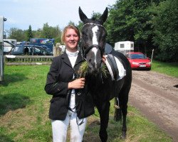 broodmare Arelix (German Warmblood, 2000, from Swinging Dancer xx)