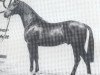 stallion Forever (Holsteiner, 1983, from Farnese 3804)