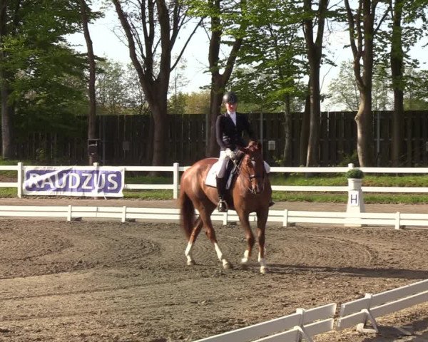Reitturnier Mildstedt 2022